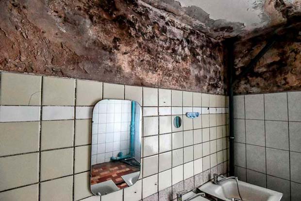 типичное общежитие плесень в общежитии